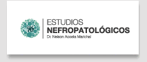 img_nefro